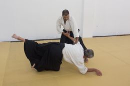 ../resources/photos/aikido/urban_seminar_March15/photos/urban_seminar_Mar15_05.jpg