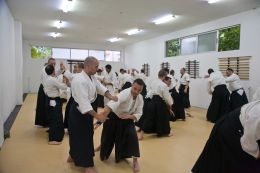 ../resources/photos/aikido/urban_seminar_May14/photos/urban_seminar_May14_13.jpg