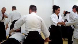 ../resources/photos/aikido/urban_seminar_May18/photos/urban_may18_0006.jpg