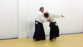 ../resources/photos/aikido/urban_seminar_May18/photos/urban_may18_0010.jpg