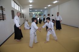 ../resources/photos/aikido/urban_seminar_March15/photos/urban_seminar_Mar15_07.jpg