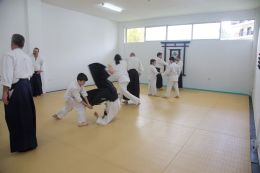 ../resources/photos/aikido/urban_seminar_March15/photos/urban_seminar_Mar15_09.jpg