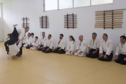 ../resources/photos/aikido/urban_seminar_March15/photos/urban_seminar_Mar15_11.jpg