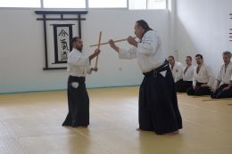 ../resources/photos/aikido/urban_seminar_March15/photos/urban_seminar_Mar15_13.jpg