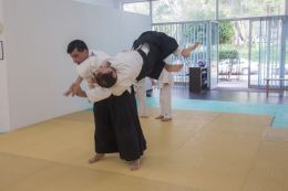 ../resources/photos/aikido/urban_seminar_March15/photos/urban_seminar_Mar15_15.jpg