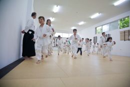 ../resources/photos/aikido/urban_seminar_May14/photos/urban_seminar_May14_03.jpg