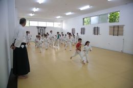 ../resources/photos/aikido/urban_seminar_May14/photos/urban_seminar_May14_03b.jpg