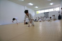 ../resources/photos/aikido/urban_seminar_May14/photos/urban_seminar_May14_05b.jpg