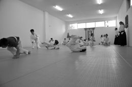 ../resources/photos/aikido/urban_seminar_May14/photos/urban_seminar_May14_07d.jpg