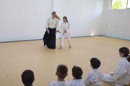 ../resources/photos/aikido/urban_seminar_May14/photos/urban_seminar_May14_07f.jpg