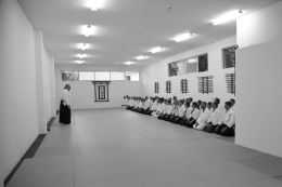 ../resources/photos/aikido/urban_seminar_May14/photos/urban_seminar_May14_08.jpg