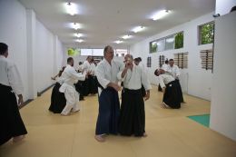 ../resources/photos/aikido/urban_seminar_May14/photos/urban_seminar_May14_09.jpg
