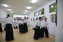 ../resources/photos/aikido/urban_seminar_May14/photos/urban_seminar_May14_10.jpg