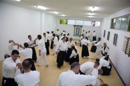 ../resources/photos/aikido/urban_seminar_May14/photos/urban_seminar_May14_14.jpg