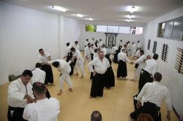 ../resources/photos/aikido/urban_seminar_May14/photos/urban_seminar_May14_15.jpg