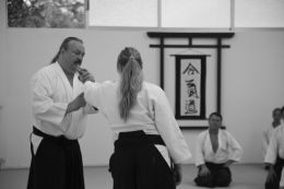 ../resources/photos/aikido/urban_seminar_May14/photos/urban_seminar_May14_17.jpg