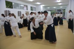 ../resources/photos/aikido/urban_seminar_May14/photos/urban_seminar_May14_18.jpg