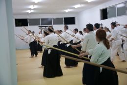 ../resources/photos/aikido/urban_seminar_May14/photos/urban_seminar_May14_29.jpg