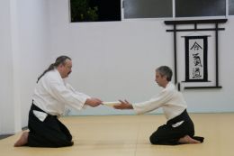 ../resources/photos/aikido/urban_seminar_May14/photos/urban_seminar_May14_33.jpg
