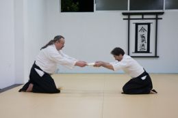 ../resources/photos/aikido/urban_seminar_May14/photos/urban_seminar_May14_34.jpg