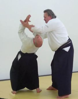 ../resources/photos/aikido/urban_seminar_May18/photos/urban_may18_0001.jpg