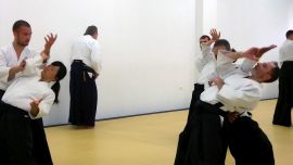 ../resources/photos/aikido/urban_seminar_May18/photos/urban_may18_0002.jpg