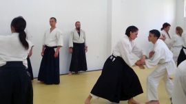 ../resources/photos/aikido/urban_seminar_May18/photos/urban_may18_0005.jpg