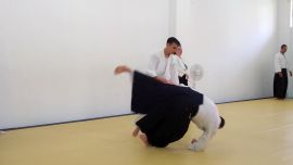 ../resources/photos/aikido/urban_seminar_May18/photos/urban_may18_0007.jpg