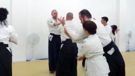 ../resources/photos/aikido/urban_seminar_May18/photos/urban_may18_0008.jpg