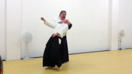 ../resources/photos/aikido/urban_seminar_May18/photos/urban_may18_0009.jpg