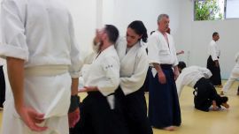 ../resources/photos/aikido/urban_seminar_May18/photos/urban_may18_0011.jpg